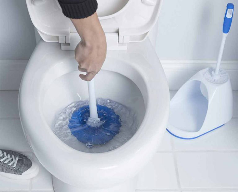 The 11 Best Toilet Plunger To Buy In 2022