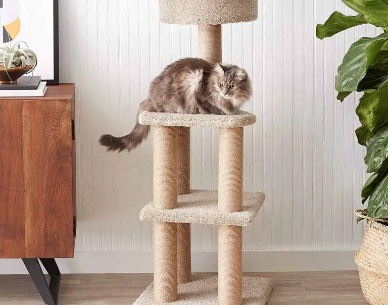 The 9 Best Cat Tree Houses In 2022