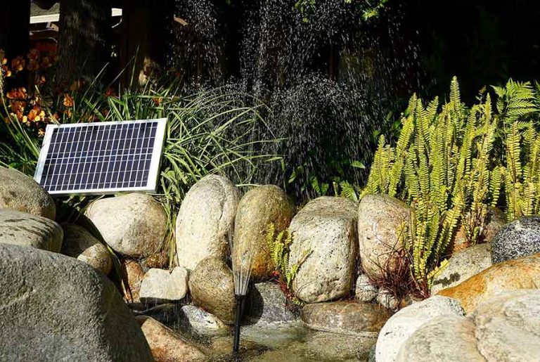 The 11 Best Solar Water Pumps 2022