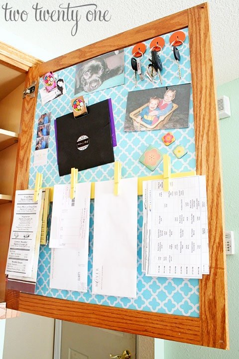 DIY Hidden Kitchen Organizer