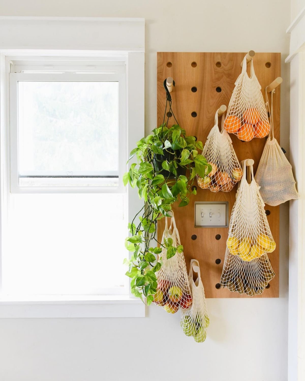 Efficient Wall-Mounted Produce Storage