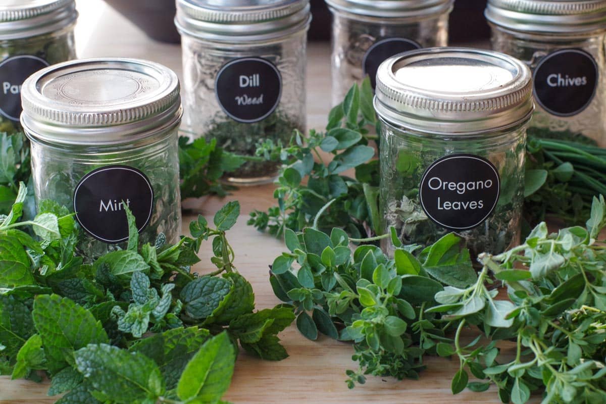 Effortless Herb Dehydration Method