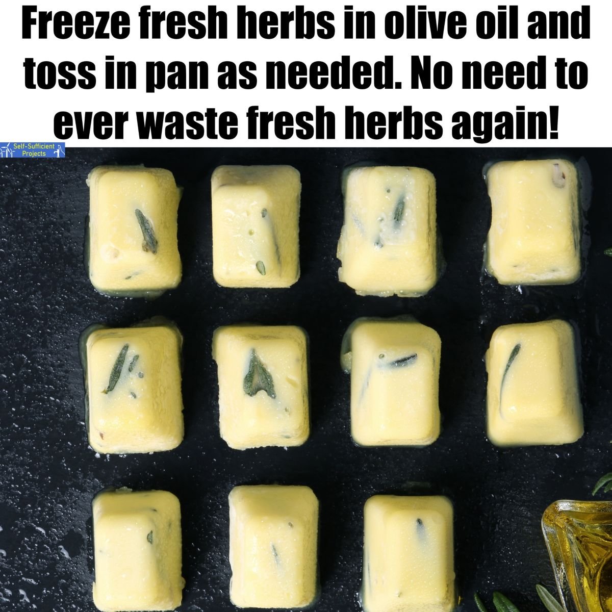 Freeze Herbs in Oil Cubes