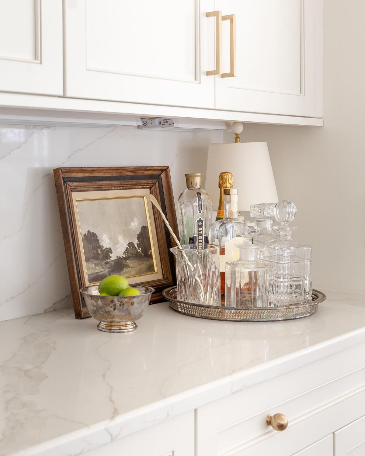 Stylish Bar Tray Essentials