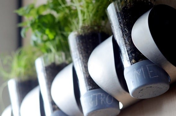 Stylish Indoor Herb Garden Ideas