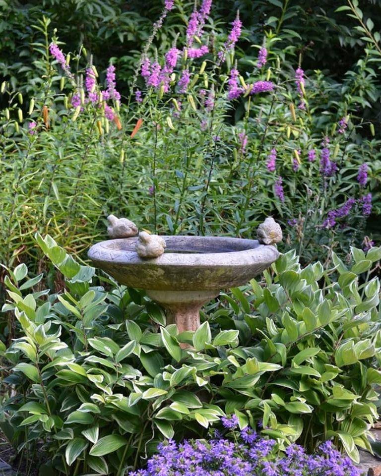 Decorative Birdbath Design