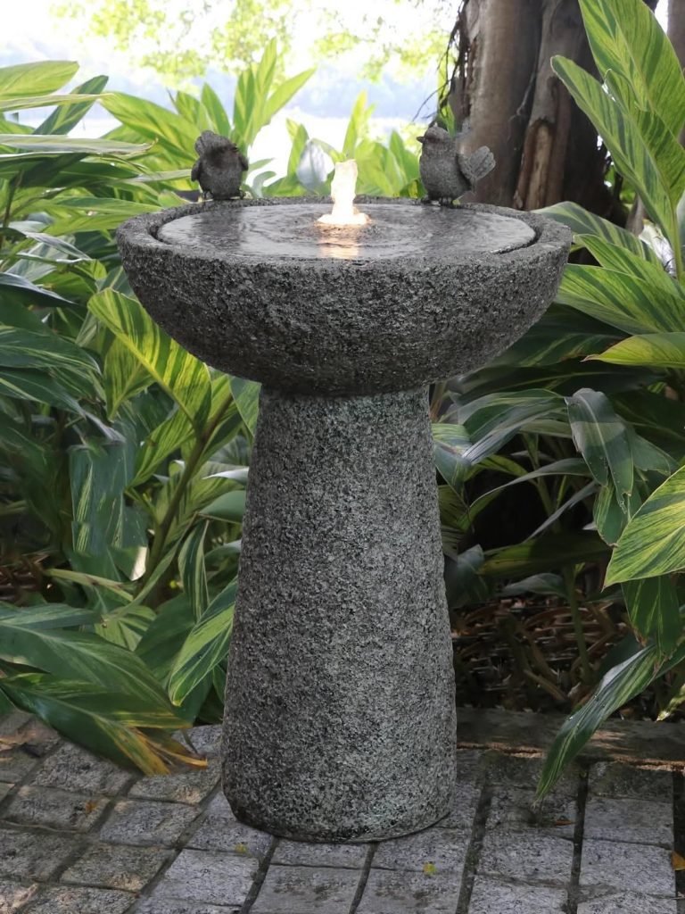 Illuminated Tropical Birdbath Design