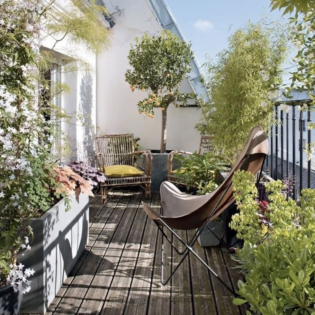 Intimate Green Oasis
