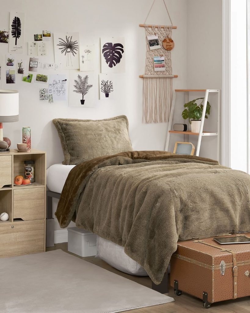 Nature-Inspired Dorm Decor