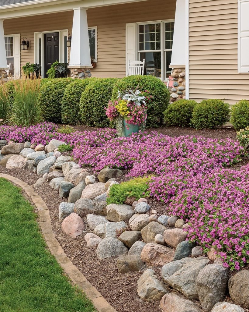 Purple Flower Groundcover Display