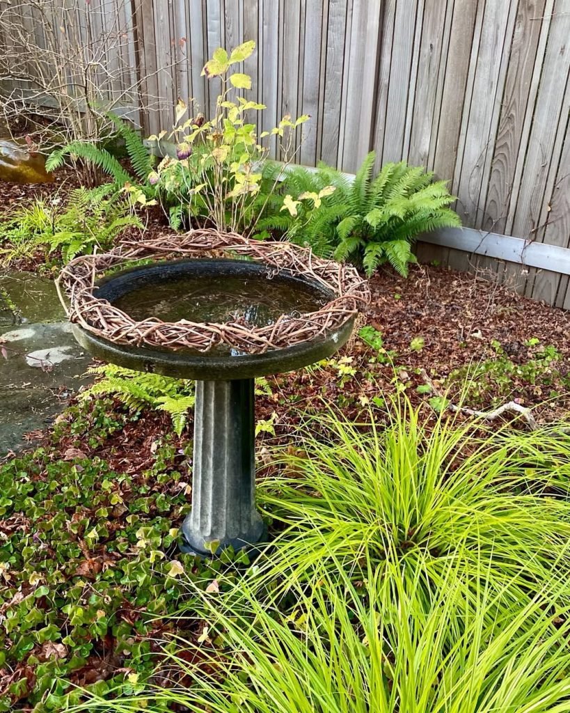 Rustic Twig-Edged Bird Bath