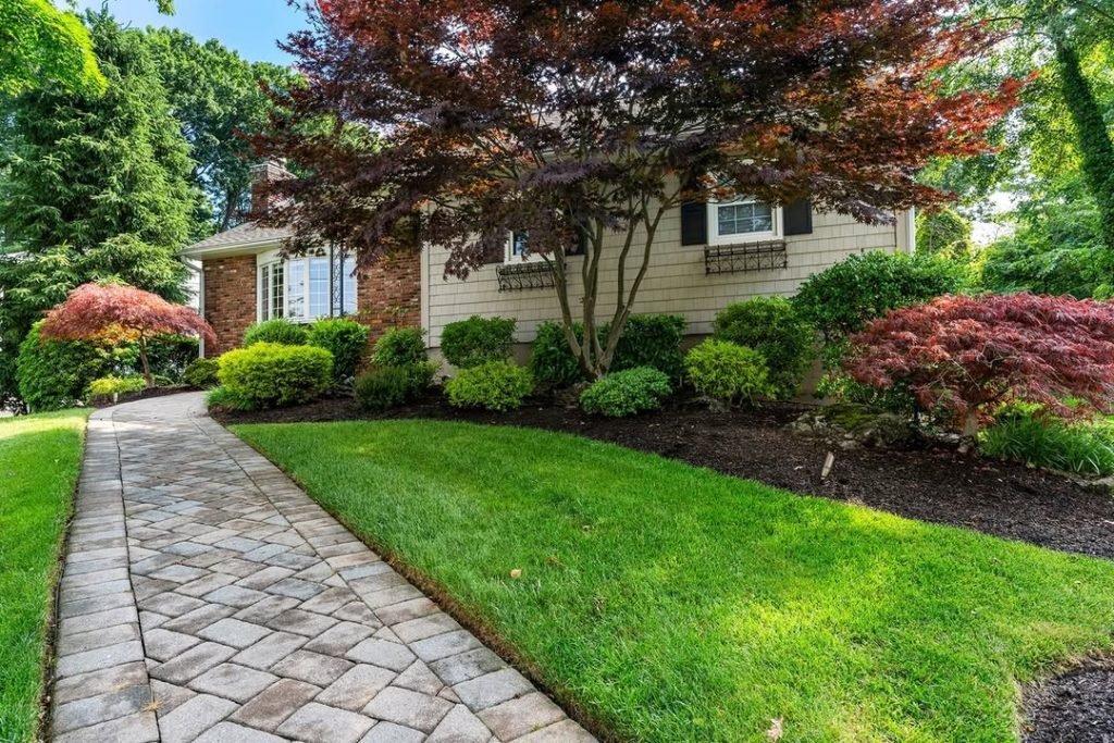 Stunning Japanese Maple Focal Points