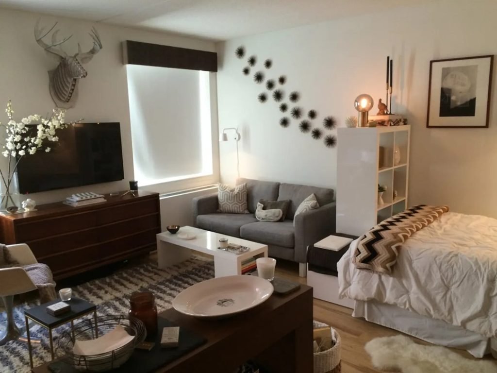 Versatile Studio Living Design