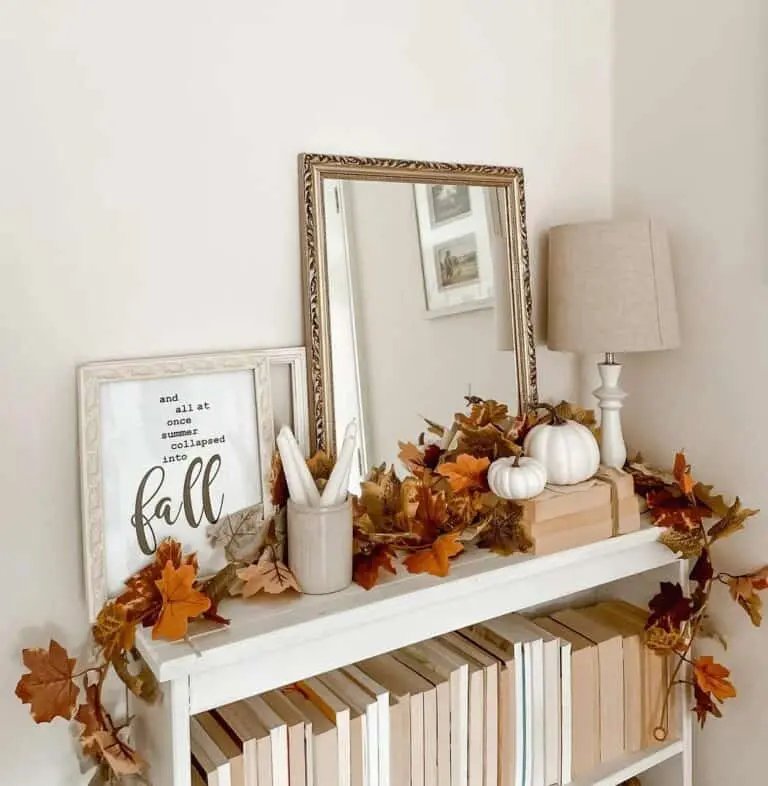 Bookshelf as Decor Alternative