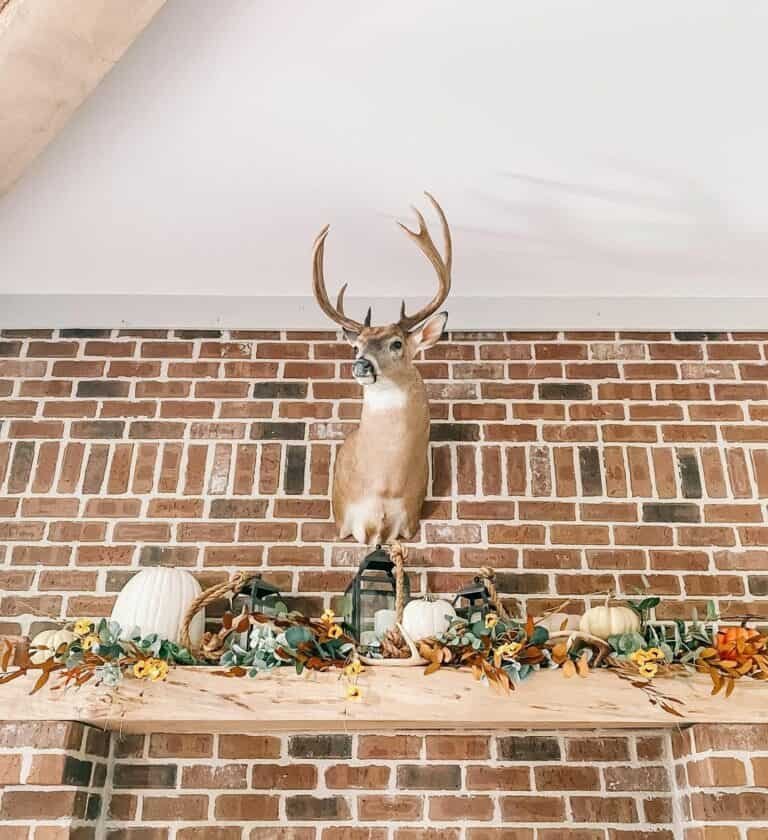 Brick Wall Nature Display