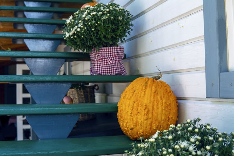 Charming autumn decor with pumpkin and flowers on wooden outdoor stairs, perfect for fall ambiance.