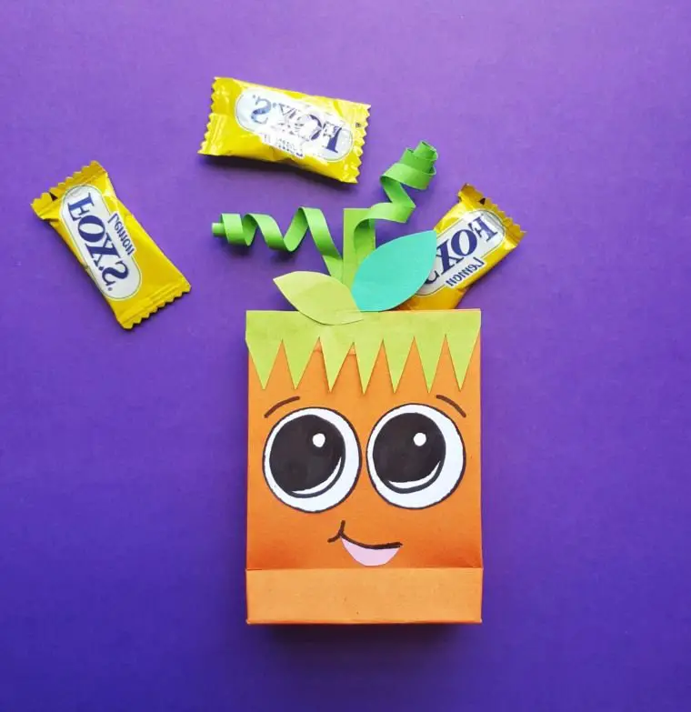 Cute Pumpkin Treat Bags