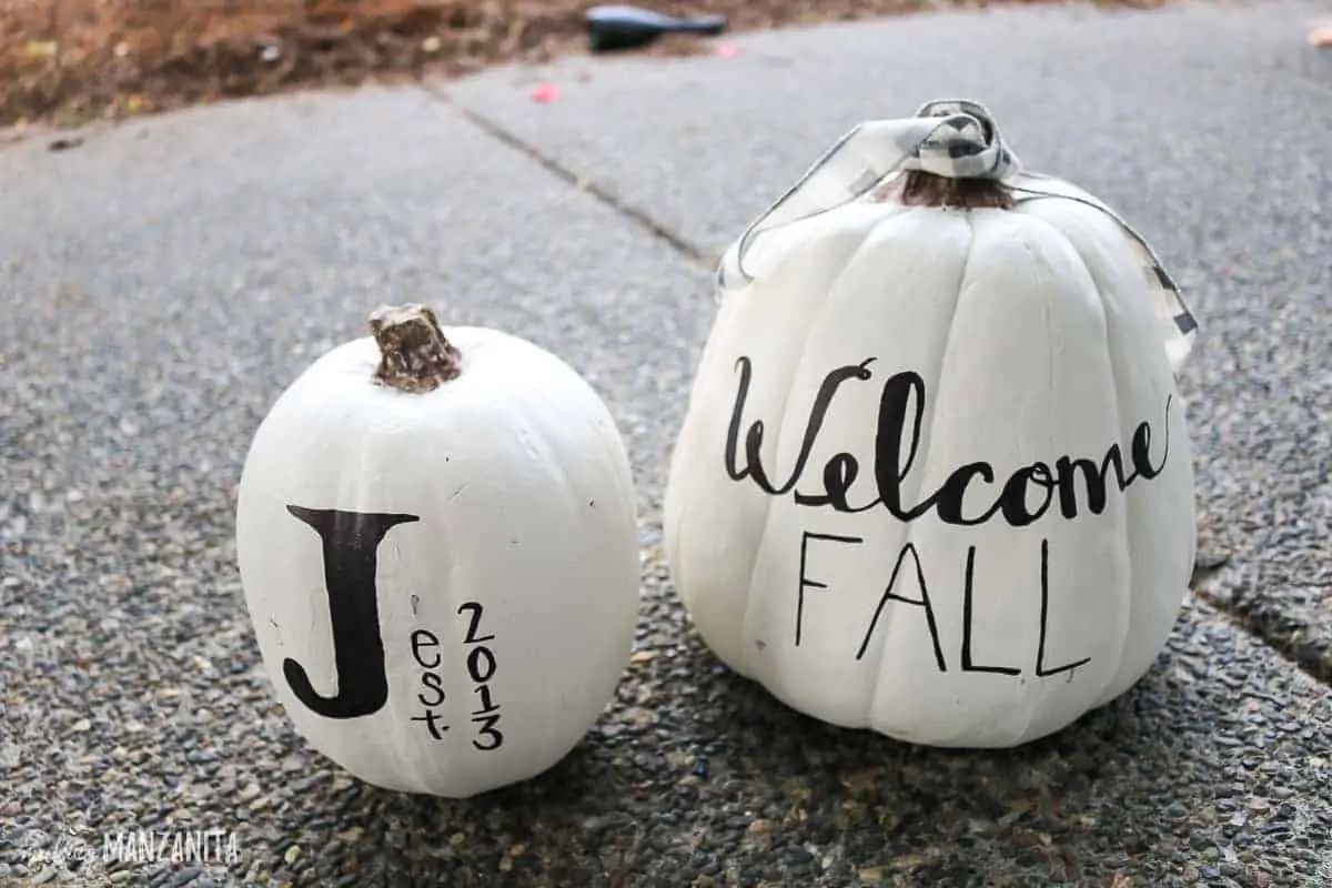 Elegant White Pumpkin Decor