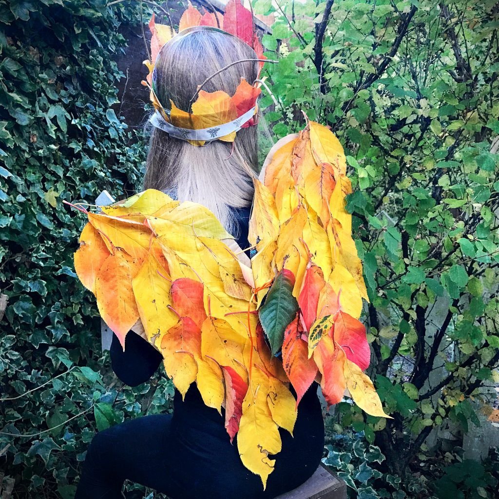 Fall Fairy Wings and Crown