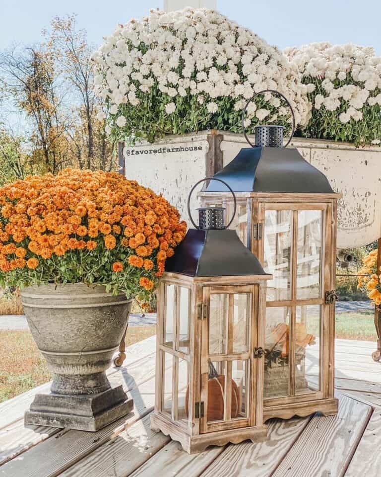 Fall Lanterns with Mums