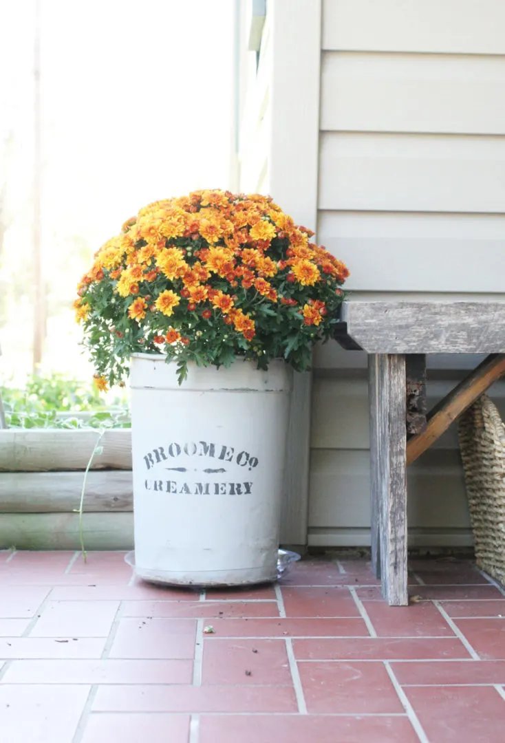 Fall-Themed Planter Ideas