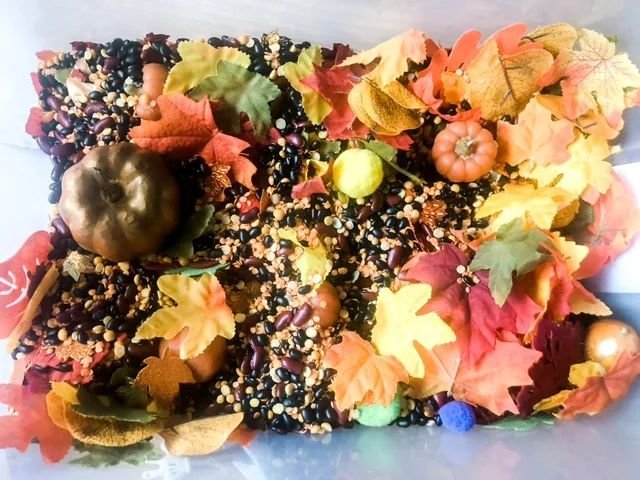 Fall Themed Sensory Bin