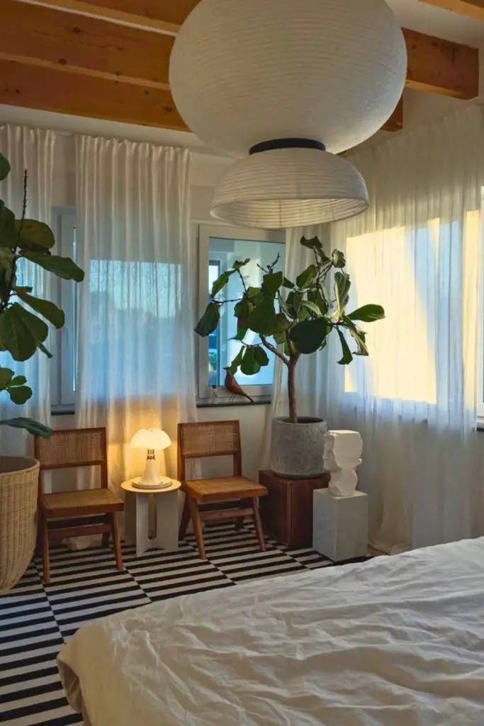 Fiddle Leaf Fig Sanctuary