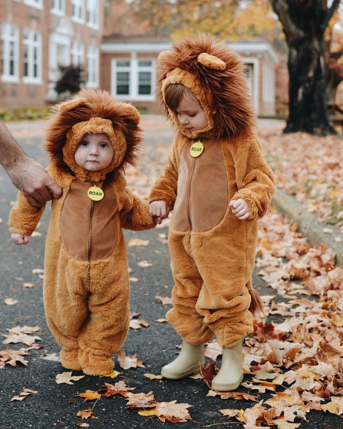 Fluffy Lion Cub Costumes
