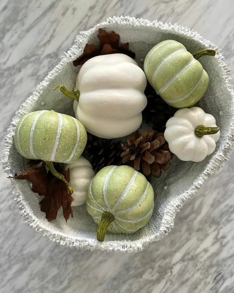 Green Pumpkin Display