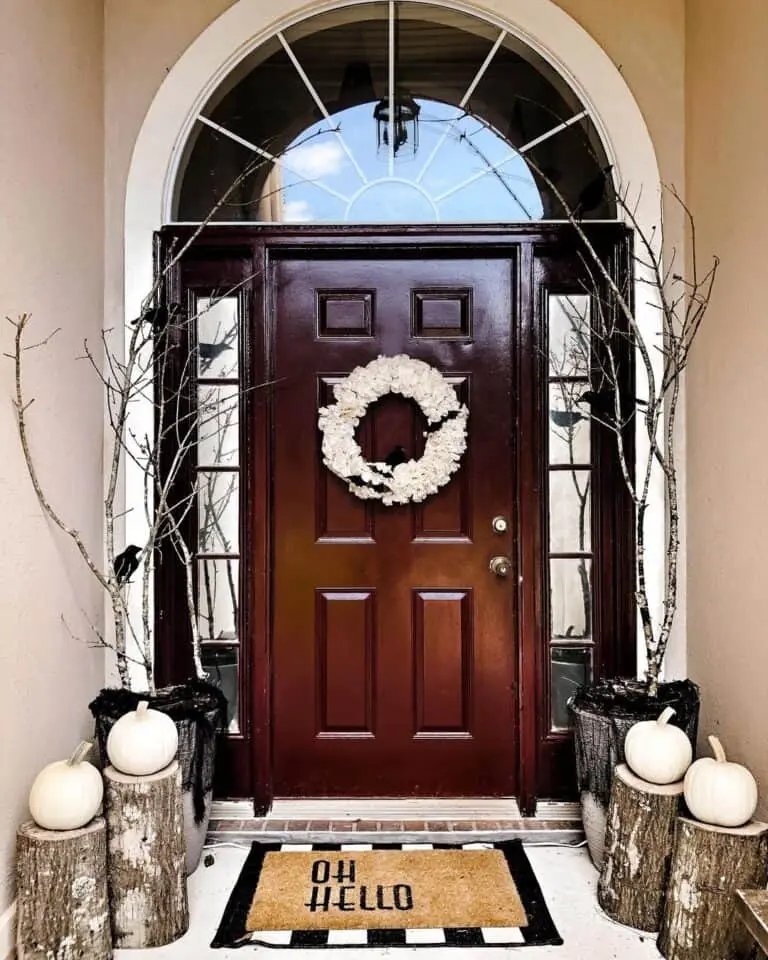 Halloween Crow Displays