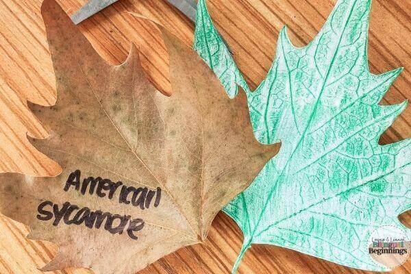 Leaf Impression Craft