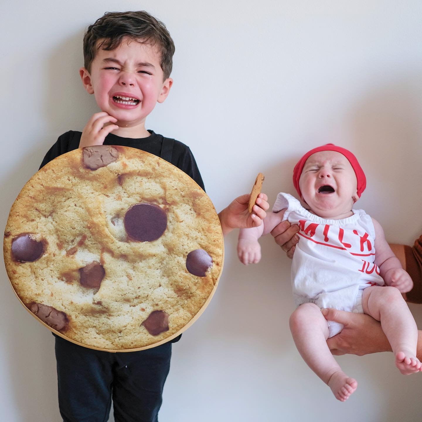 Milk and Cookies Costumes