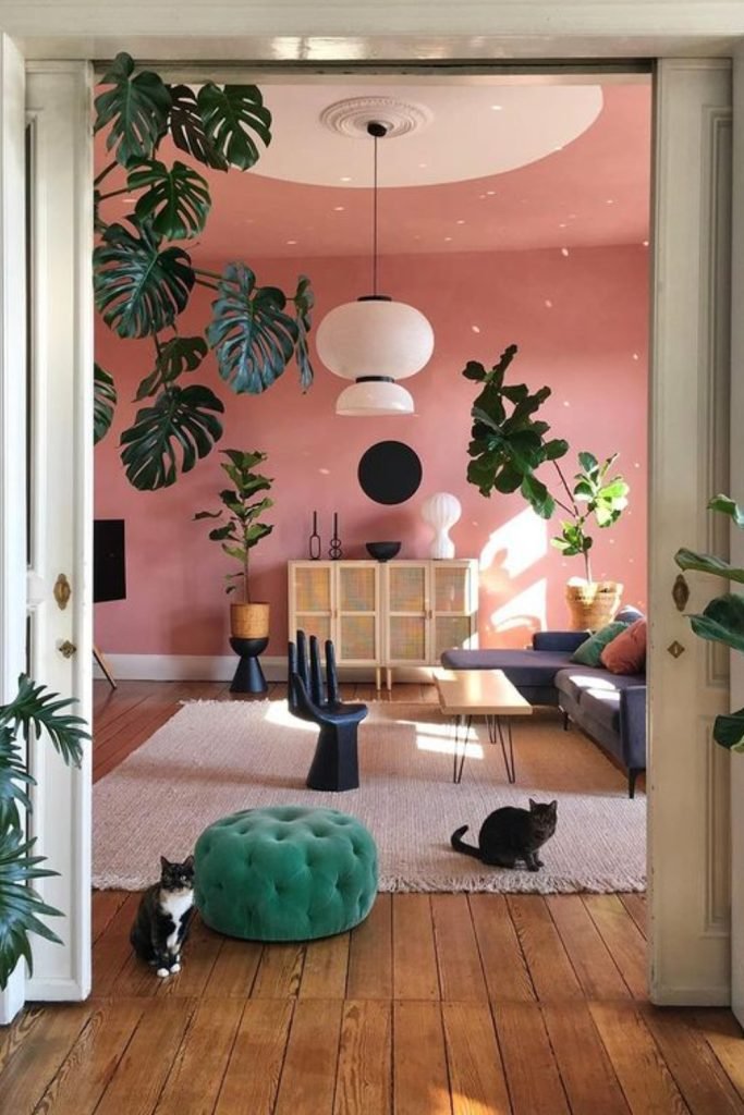 Monstera Plant Decor Ideas