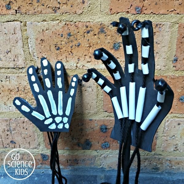 Movable Skeleton Hand Craft