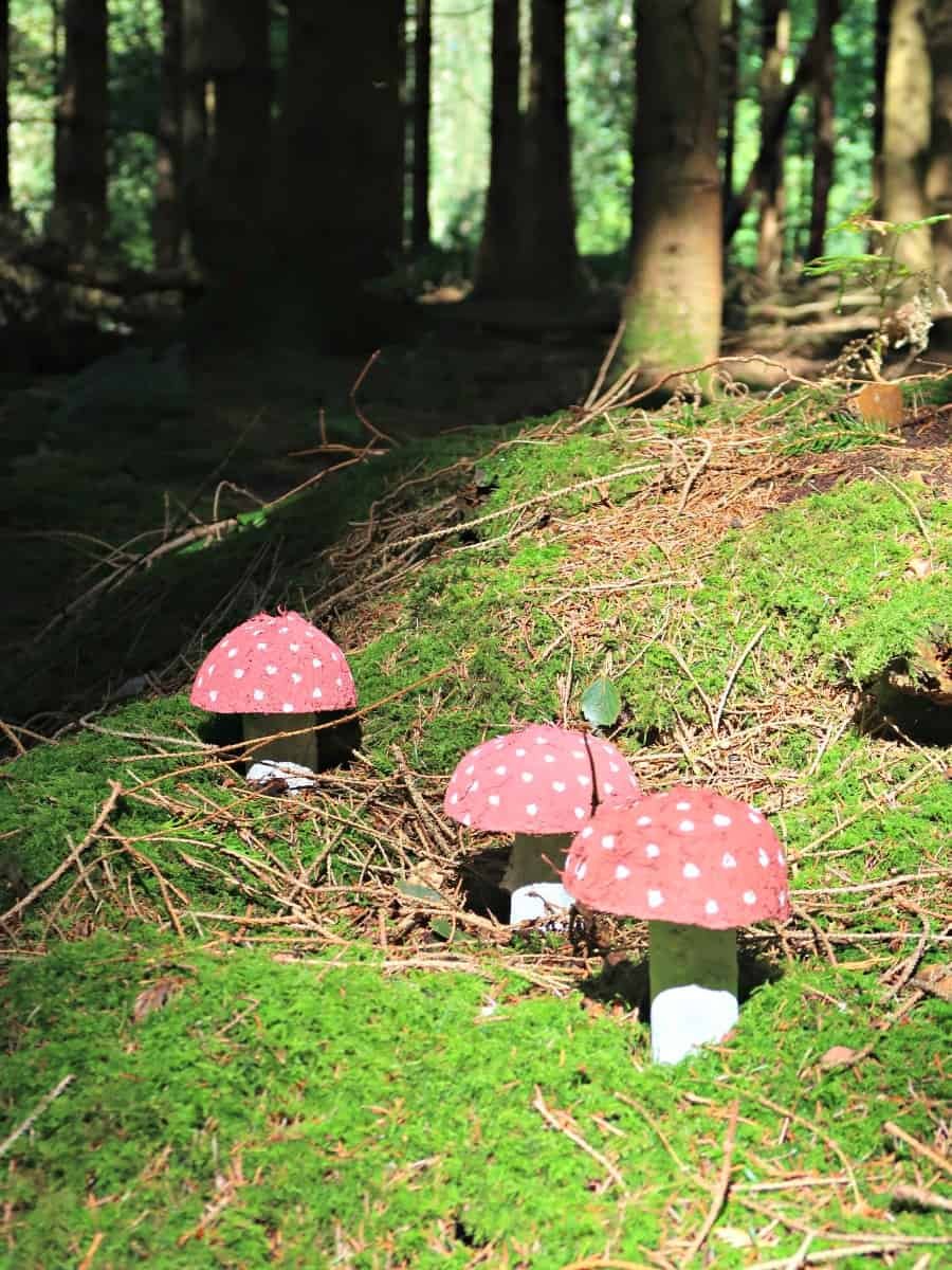 Nature-Inspired Fairy Toadstools