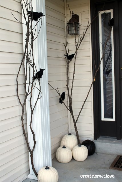 Raven Decorative Accents