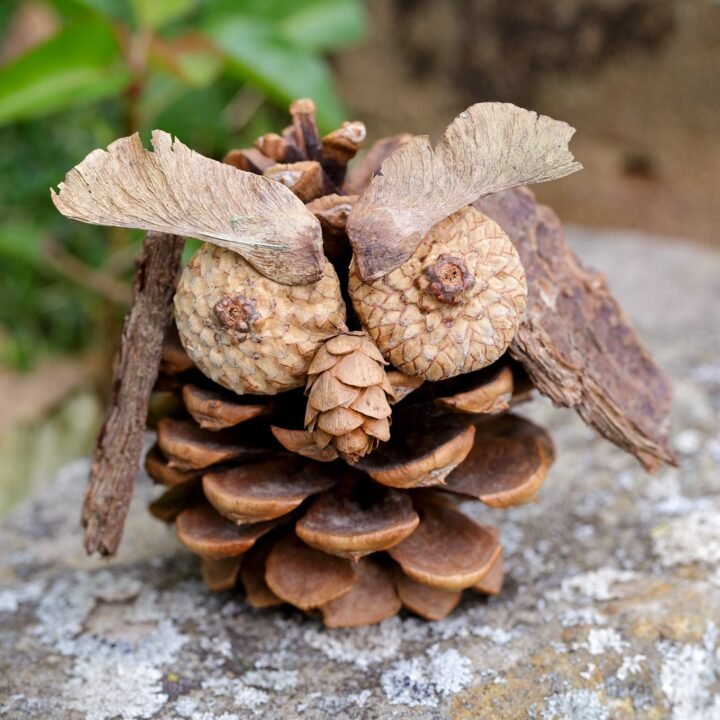 Rustic Pinecone Owl Craft