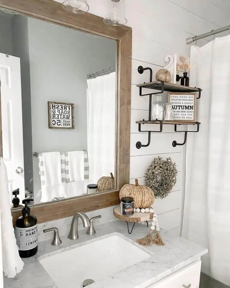 Shiplap Bathroom with Mirror