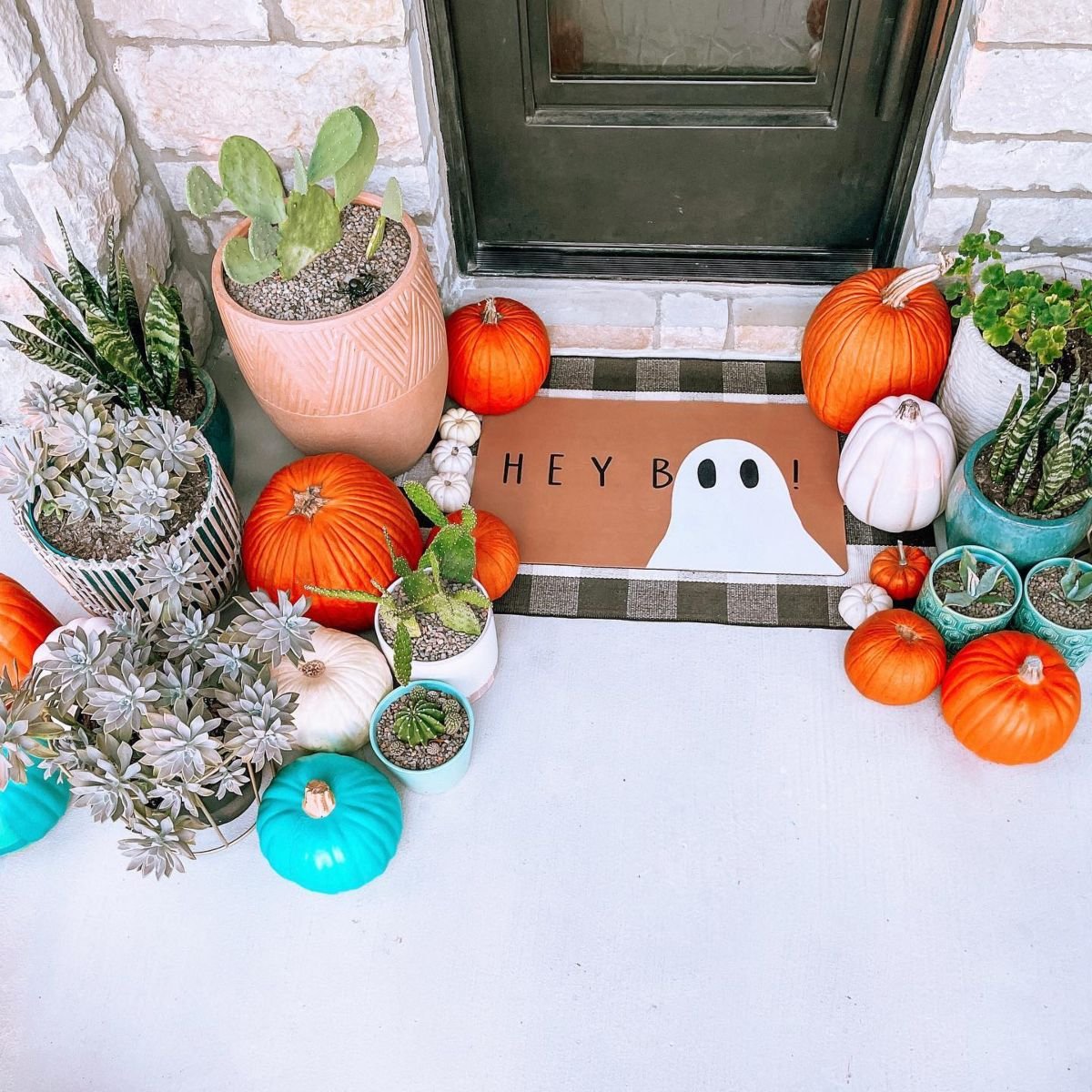 Spooky Succulent Displays