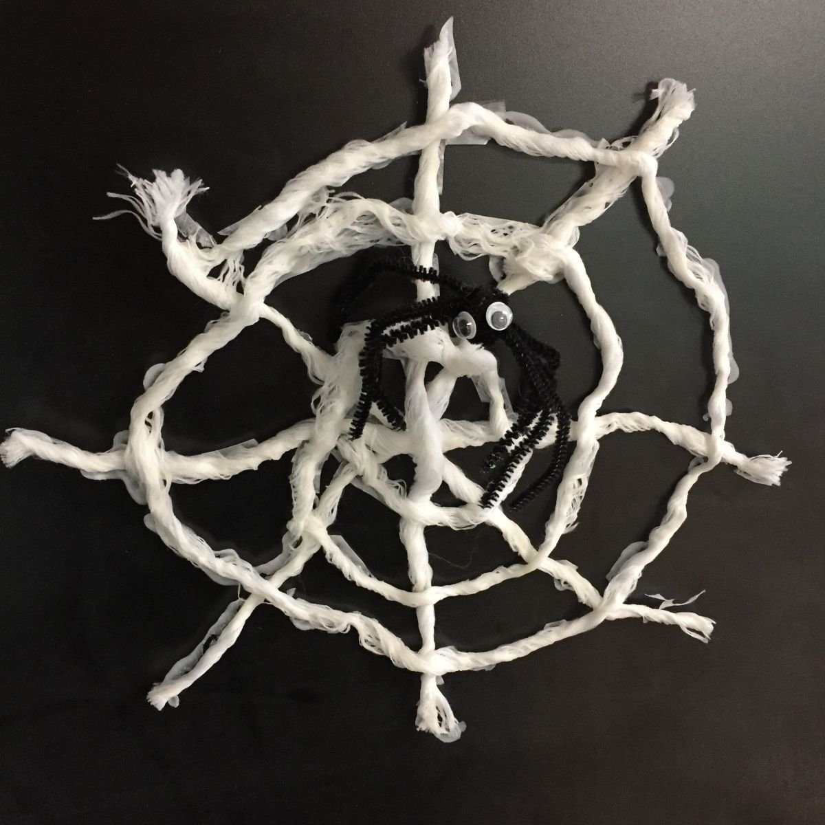 White Yarn Spider Web