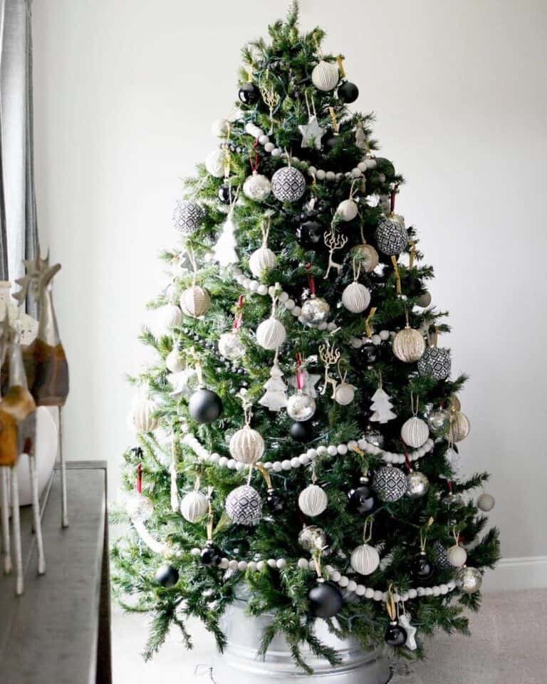 Black and White Tree