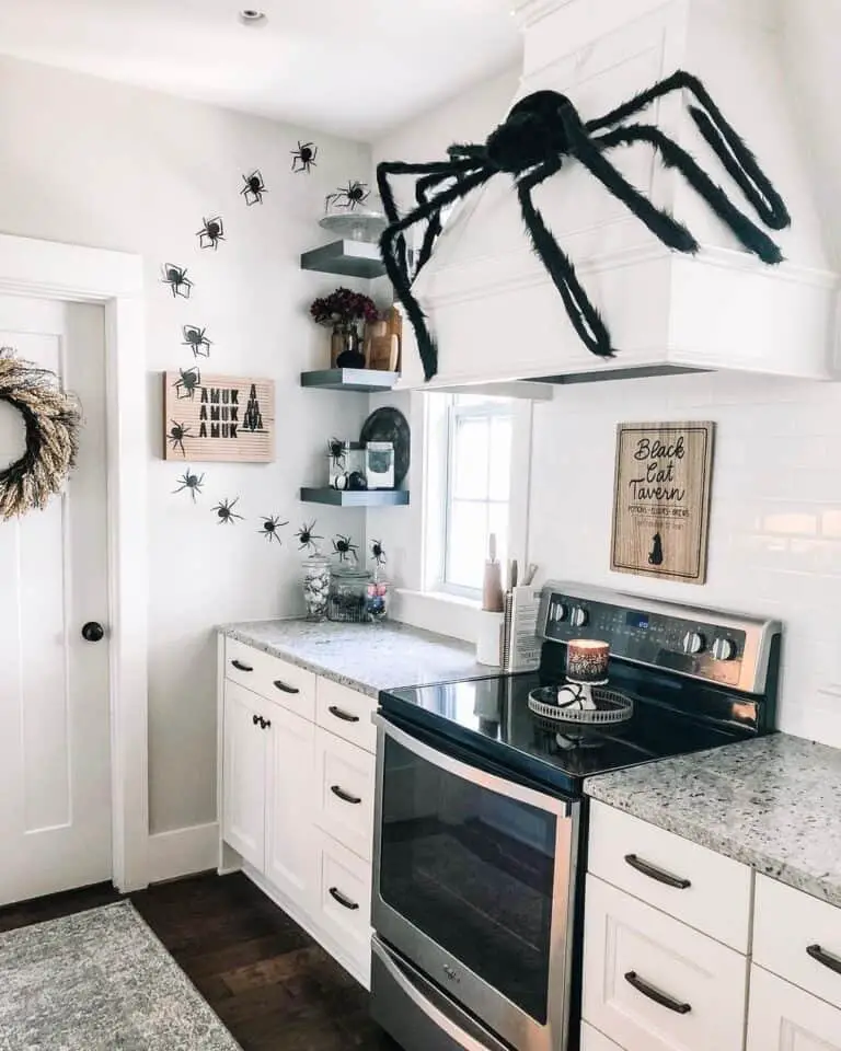 Black Spider Kitchen Decor