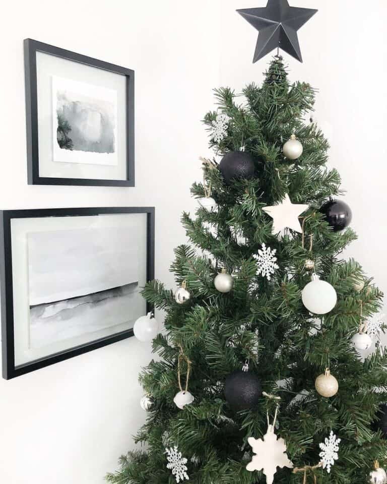 Black Star Tree Topper