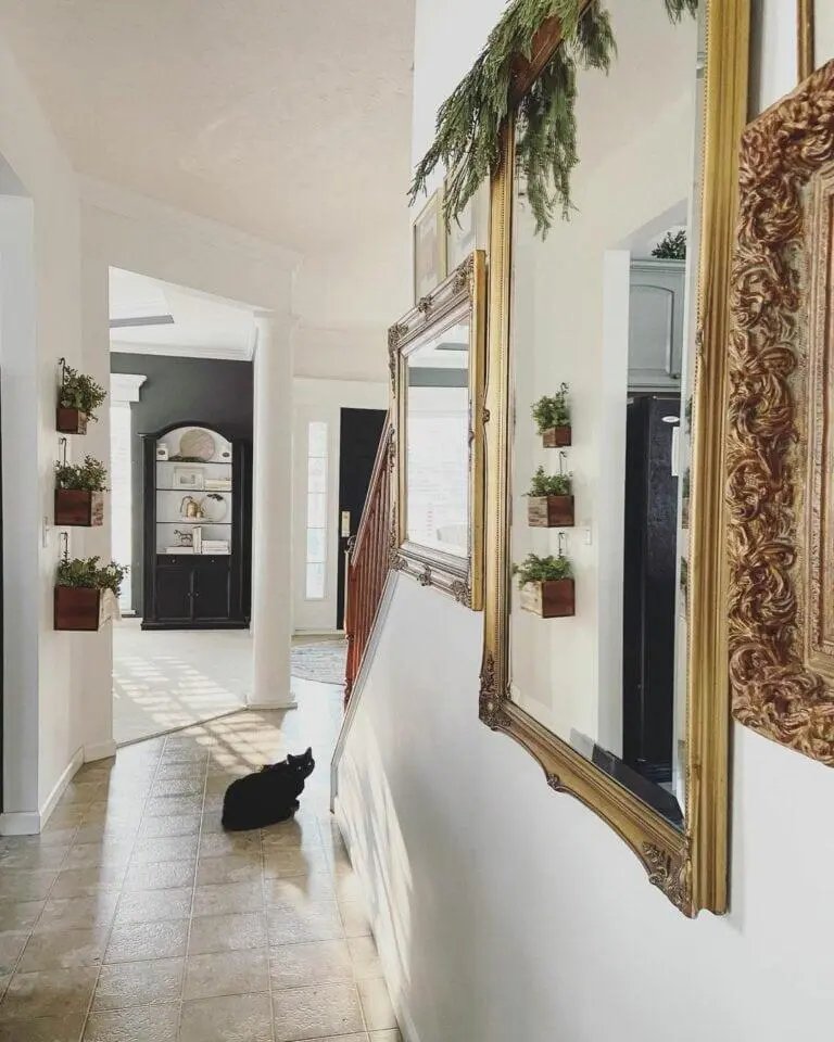 Brass Mirror Collection