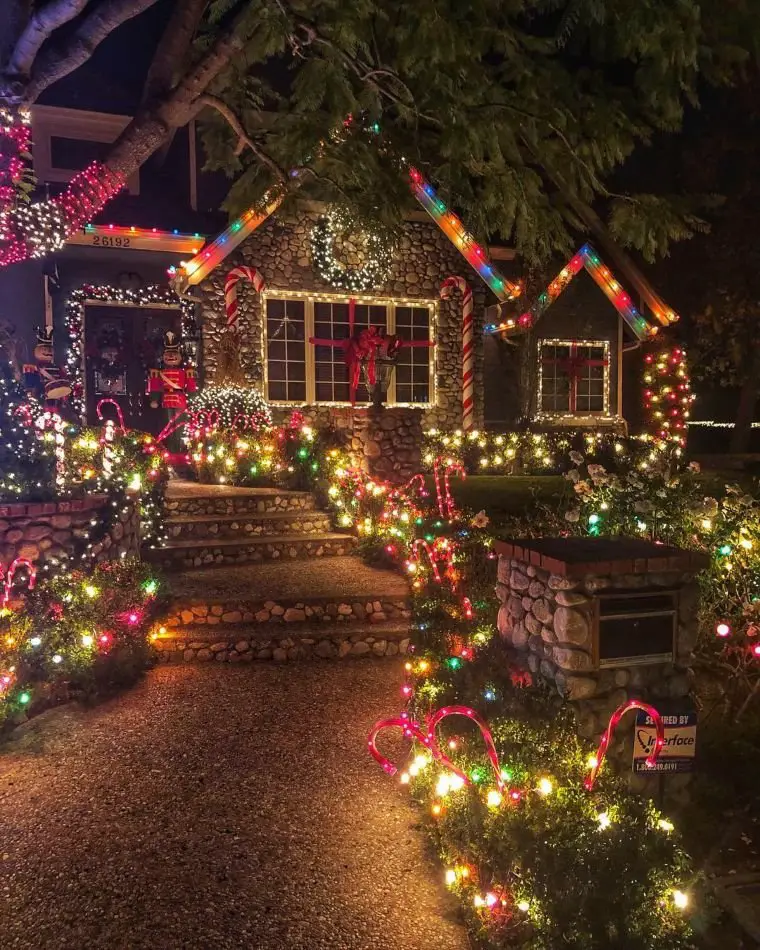 Bush Light Displays