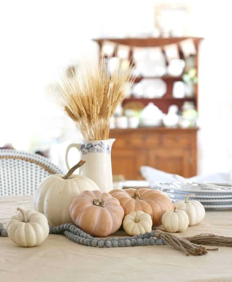 Cinderella Pumpkins and Wheatgrass