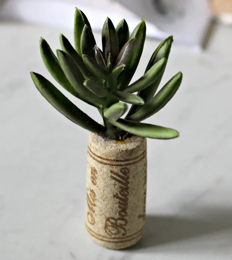Cork Fridge Magnets
