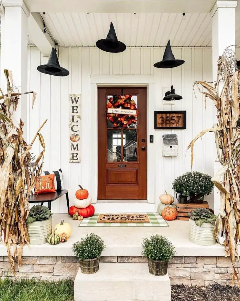 Corn Stalks and Pumpkins
