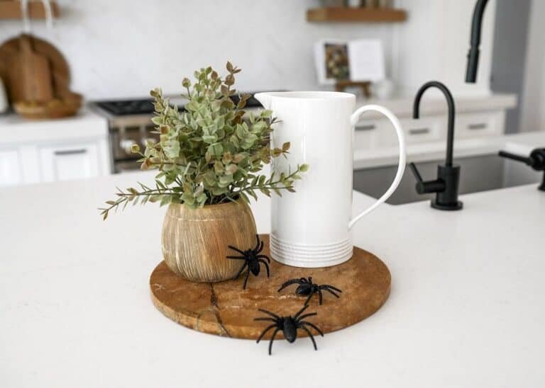 Countertop Spider Display