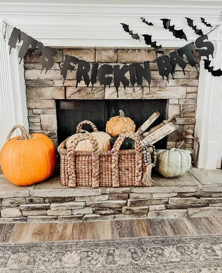 Cozy Pumpkin and Bat Display